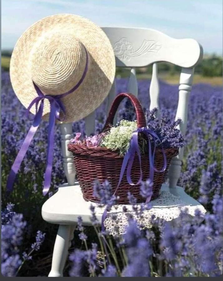 Grange Voutee Avec Jardin *