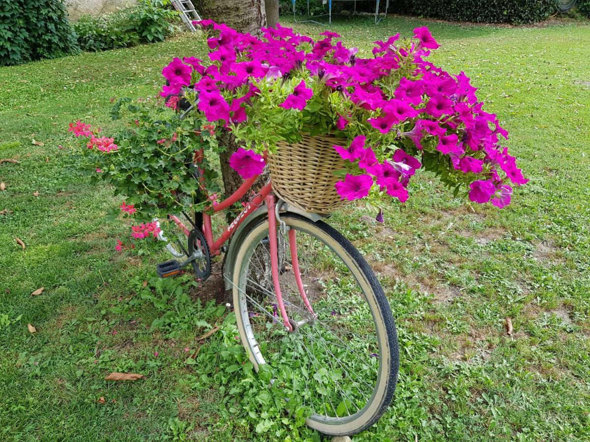 Grange Voutee Avec Jardin * Mane (Alpes-de-Haute-Provence)